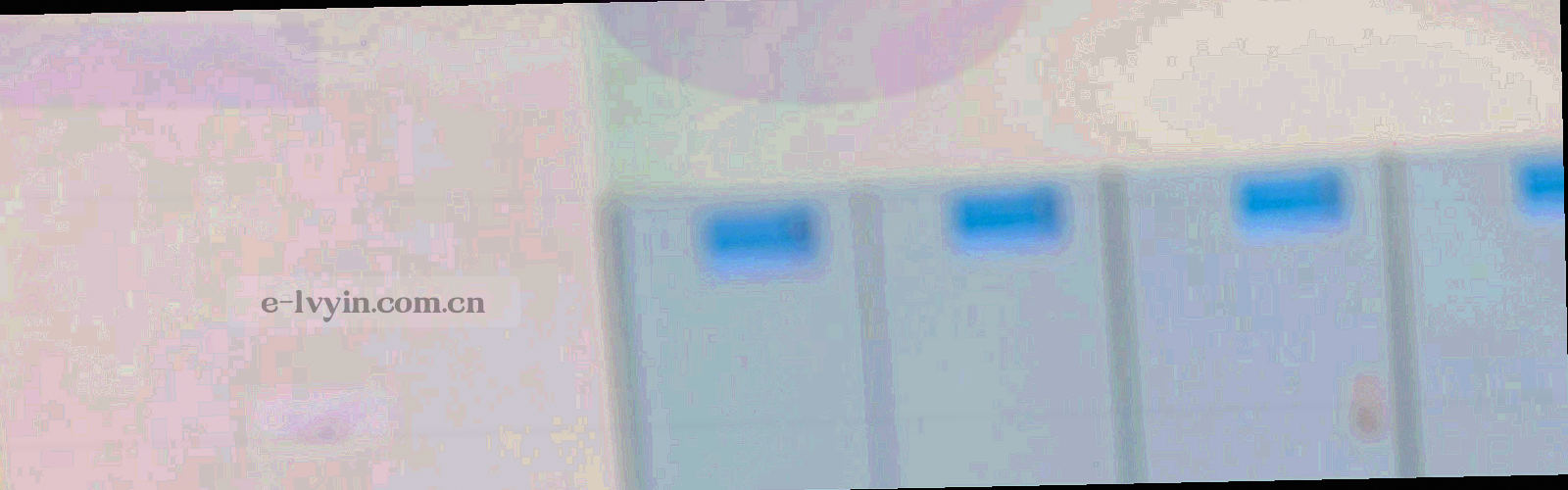 夜间草皮纹理上排列的赛季轮次刻度线与荧光黄绿进度条